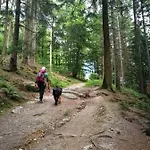 Berg- Und Seeblick * Winterberg