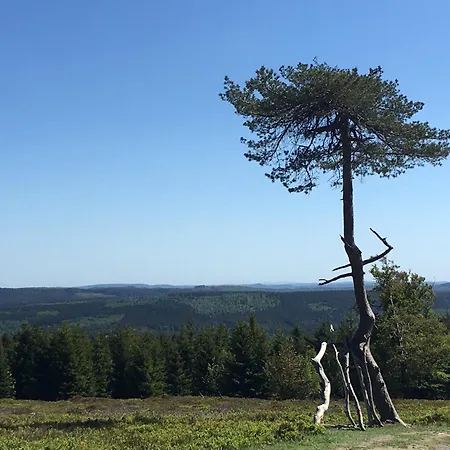 Berg- Und Seeblick Appartamento Winterberg