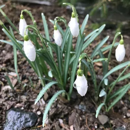 Berg- Und Seeblick Daire *