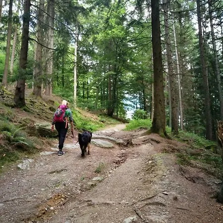 Berg- Und Seeblick * Winterberg