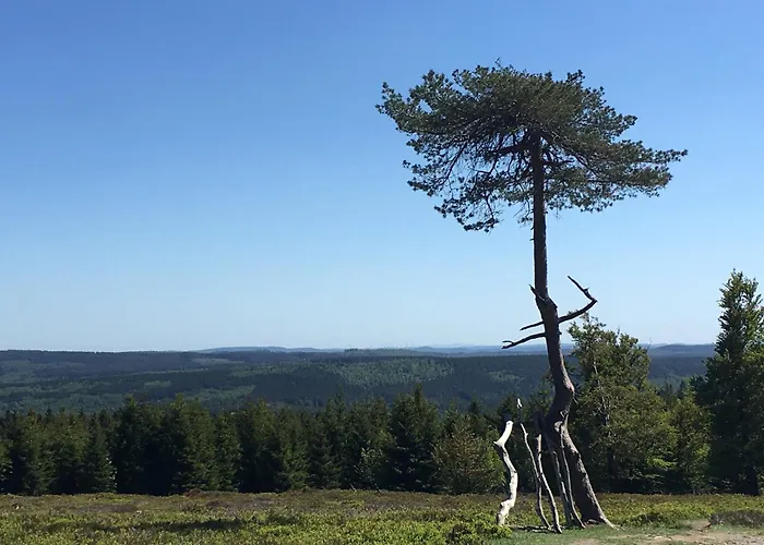 Berg- Und Seeblick Apartment Winterberg