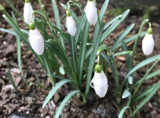 Berg- Und Seeblick アパート *