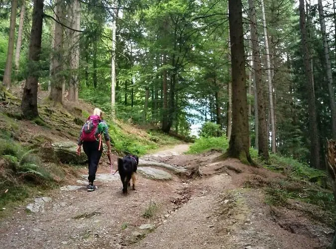 Berg- Und Seeblick * ヴィンターベルク